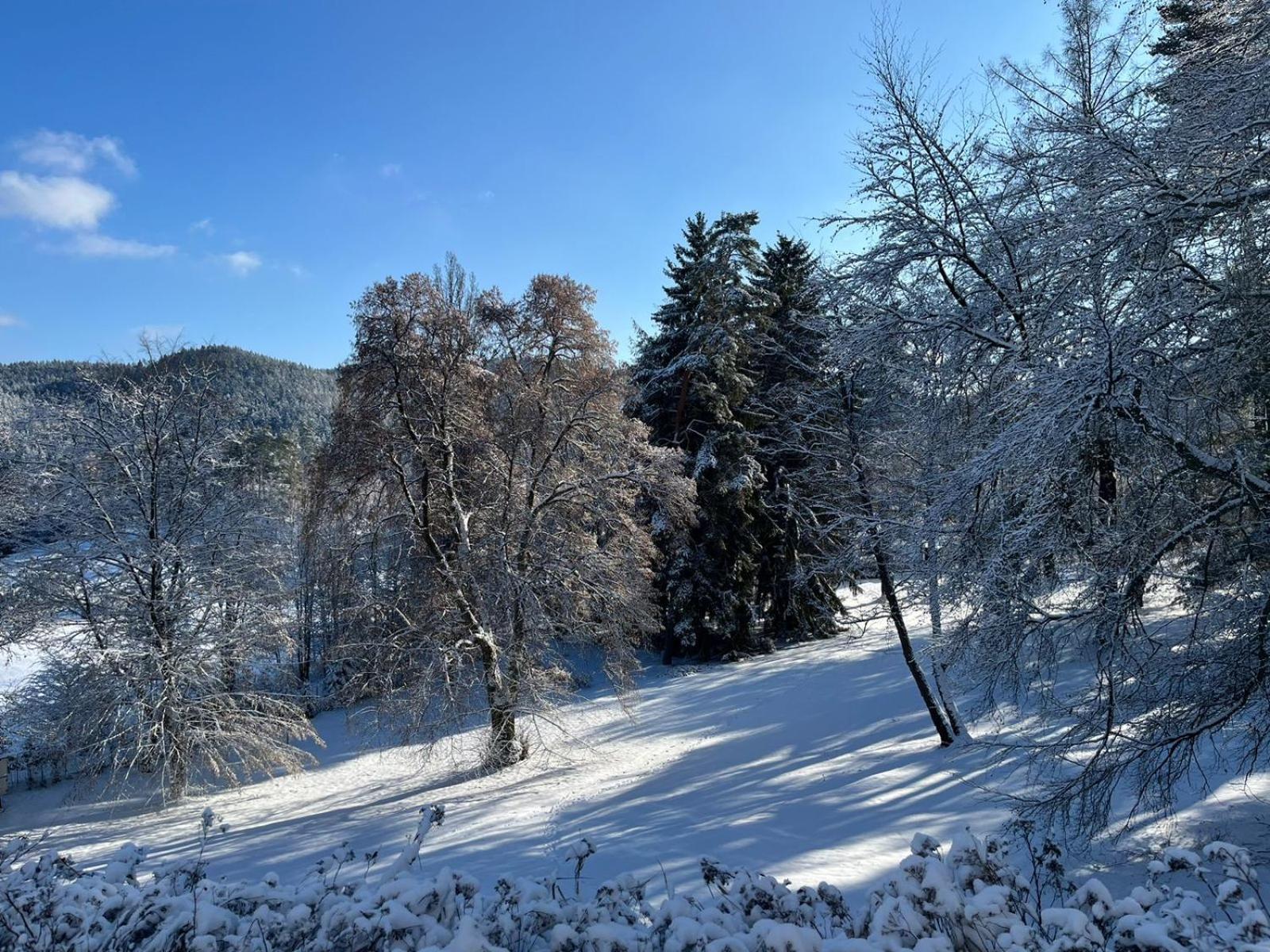 Pension U Golfu Cihelny Karlovy Vary Exterior foto