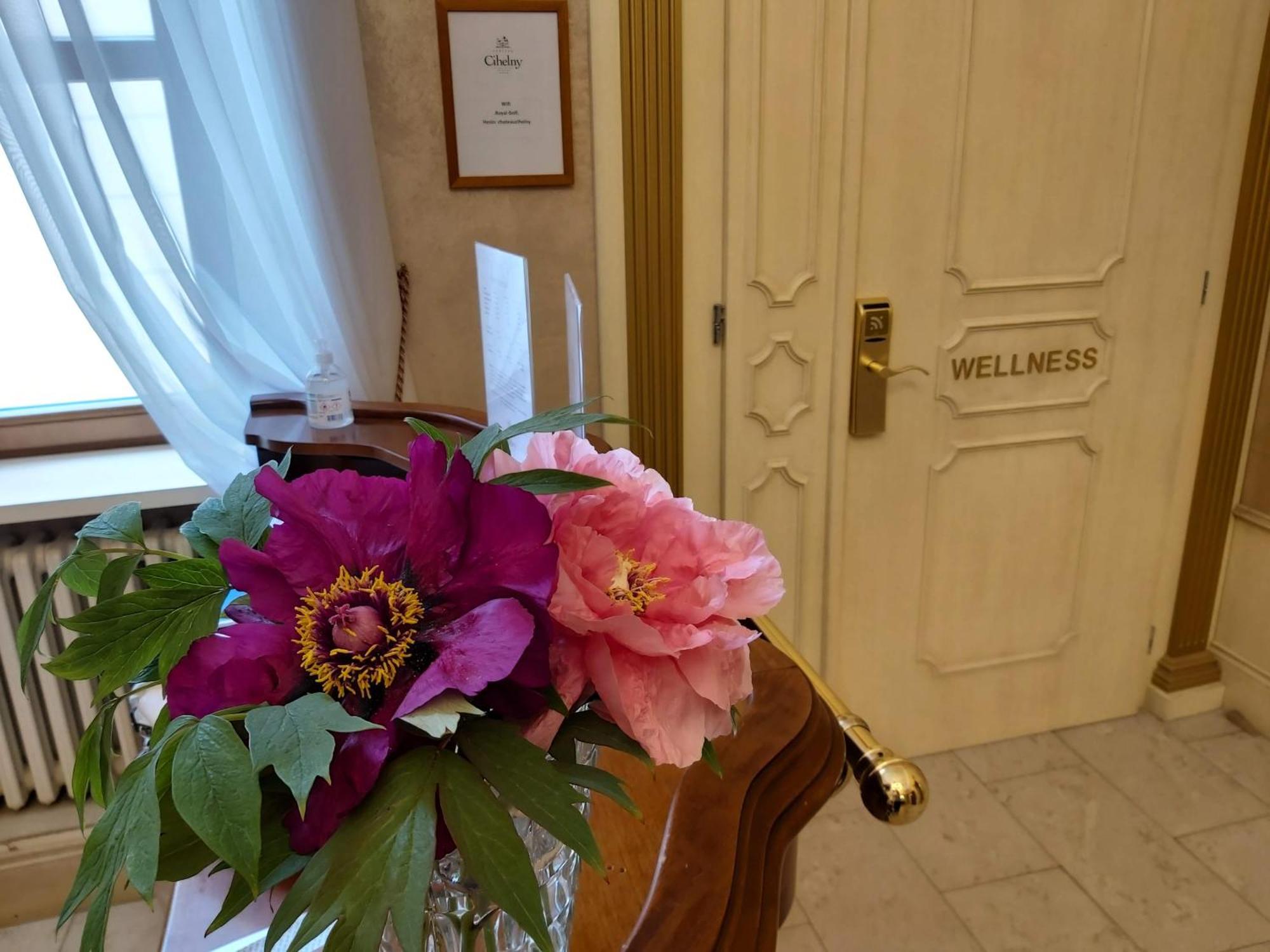 Pension U Golfu Cihelny Karlovy Vary Exterior foto